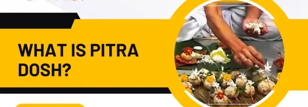 Pitra Dosh Guidance
